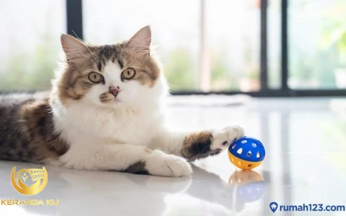 Arti Kucing Mati di Rumah menurut Islam, Katanya Pertanda Buruk?
