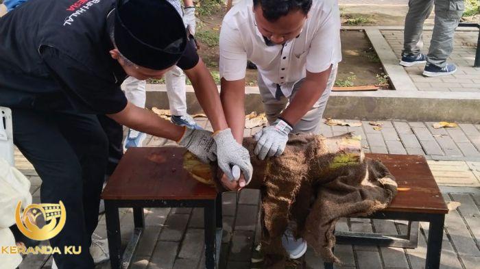 Doa menyembelih hewan sesuai sunnah