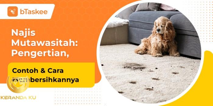 Cara membersihkan najis kotoran ayam