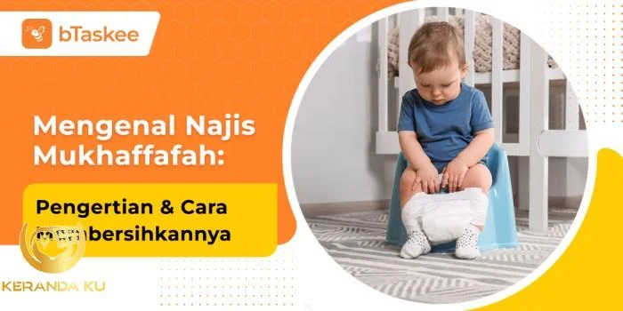 Cara Membersihkan Najis Kencing Kucing di Kasur, Wajib Tahu bagi yang ...