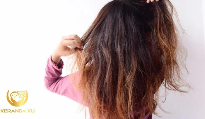 rambut rontok boleh pakai gel - Pippa Edmunds