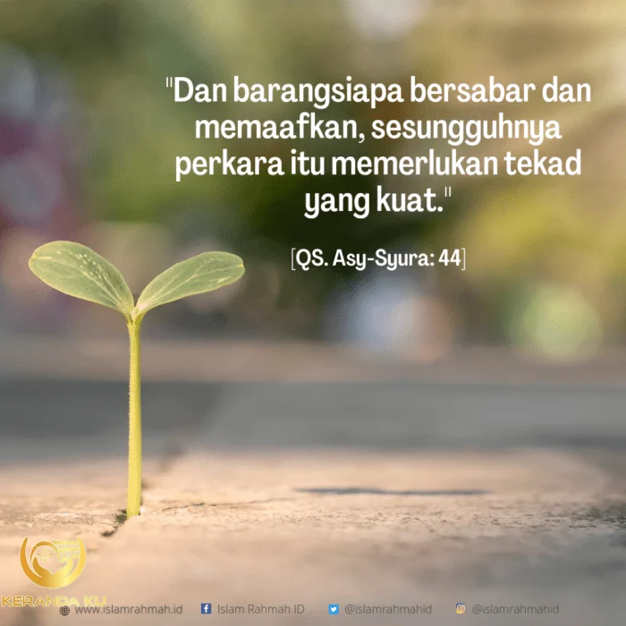 Buah dari Kesabaran dan Memaafkan - Islam Rahmah
