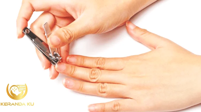 Blog Sufi Asri: Cara Memotong Kuku Mengikut Sunnah Nabi