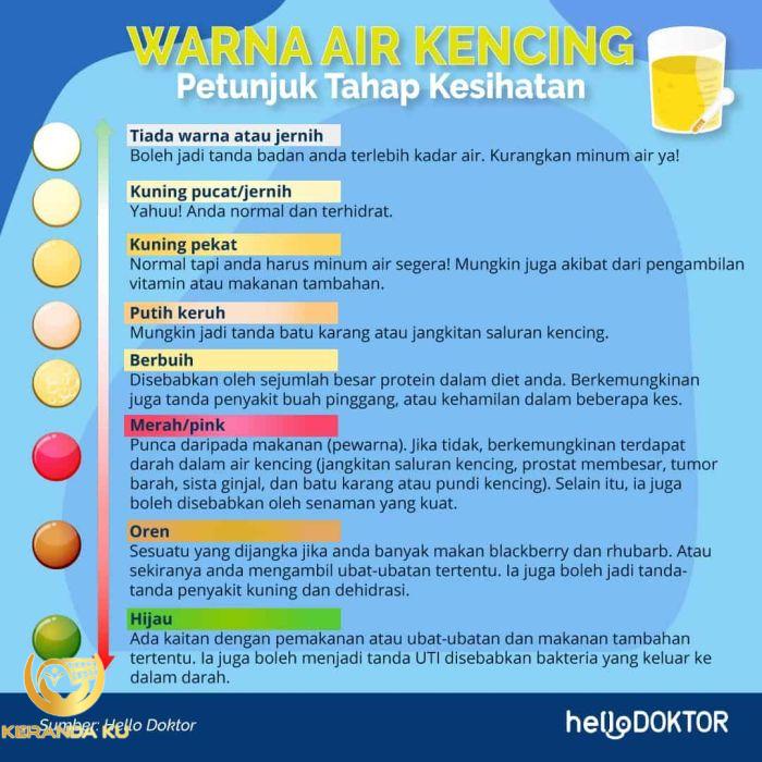 Cirit Birit Warna Najis Bayi Dan Tahap Kesihatan - Najis Anak Warna ...