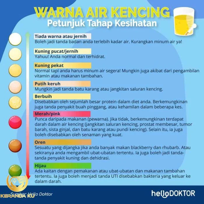 Cirit Birit Warna Najis Bayi Dan Tahap Kesihatan - Najis Anak Warna ...
