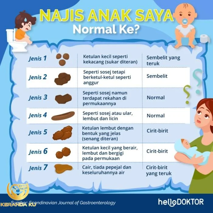 Bagaimana Nak Tahu Jenis Najis Bayi Cirit Birit Atau Tak? - HelloDoktor Bagaimana Nak Tahu Jenis Najis Bayi Cirit Birit Atau Tak? - HelloDoktor