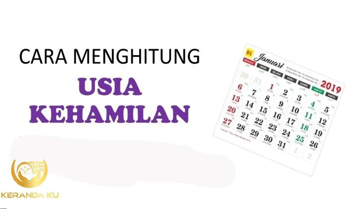 Definisi kesehatan ibu dan anak menurut who - Ruth Langdon Definisi kesehatan ibu dan anak menurut who - Ruth Langdon