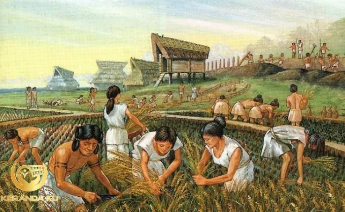 Pengertian Peradaban, Ciri-Ciri dan Perbedaan Kebudayaan dan Peradaban ... Peradaban