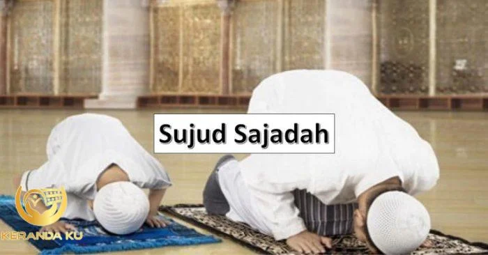 Sujud Tilawah: Panduan, Cara Bacaan, dan Kelebihannya Hikmah sujud tilawah bagi umat islam adalah