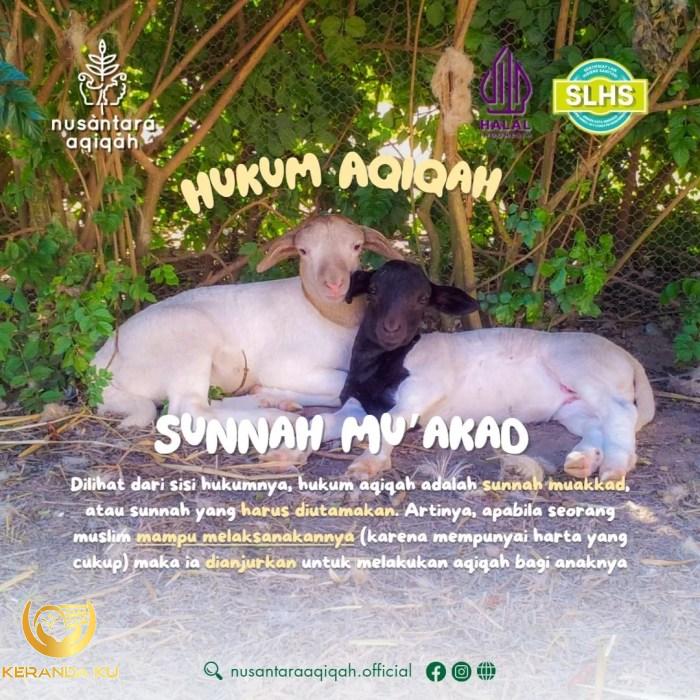 Apa Itu Sunnah Muakkad dalam Islam? Pengertian dan Ibadah yang Termasuk ...