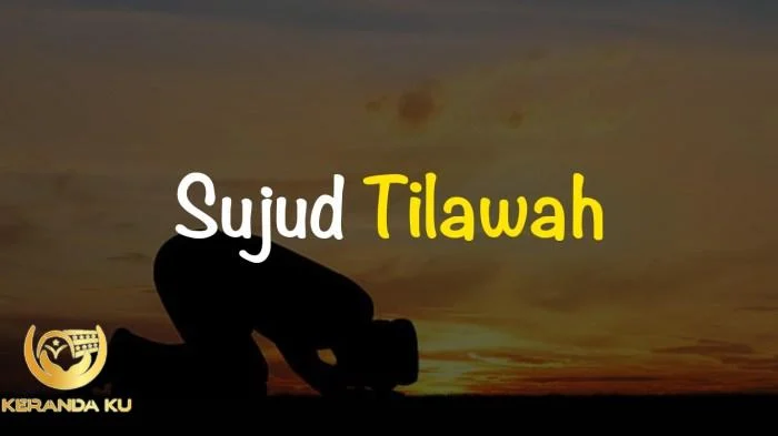Ini Dia Syarat dan Rukun Sujud Tilawah yang Harus Kamu Tau | Gaya Hidup Hikmah sujud tilawah bagi umat islam adalah