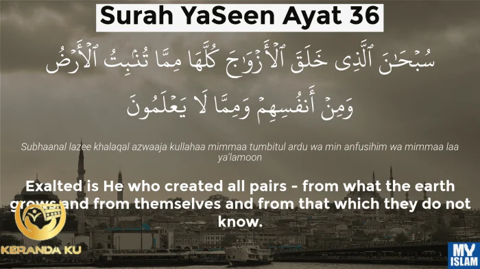 Surah Yaseen Ayat 36 (36:36 Quran) With Tafsir - My Islam