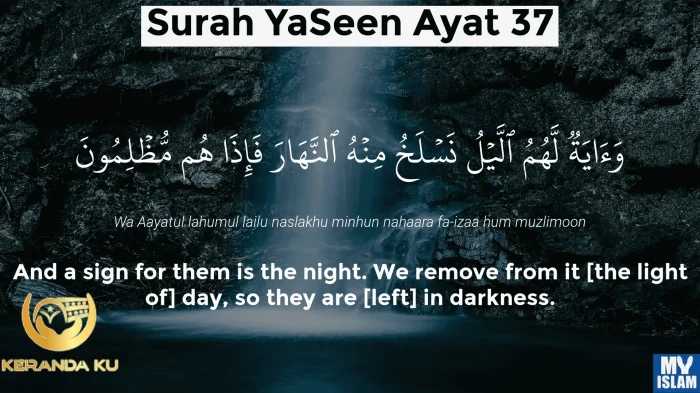 Surah Yaseen Ayat 36 (36:36 Quran) With Tafsir - My Islam