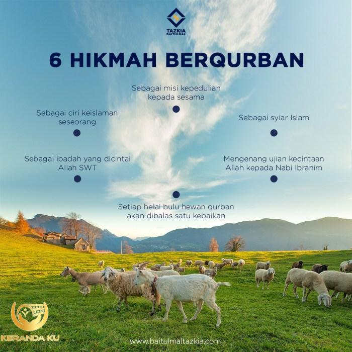 Qurban - Senyum Mandiri Foundation Qurban - Senyum Mandiri Foundation