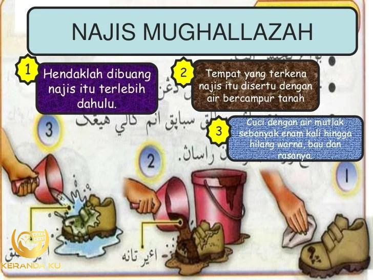 Bahagian-bahagian najis