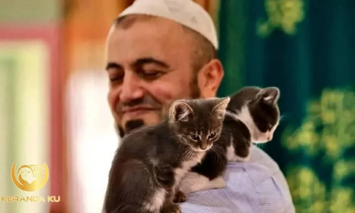 Bahaya Memelihara Kucing dalam Islam menurut Ulama, Apa Hukumnya?