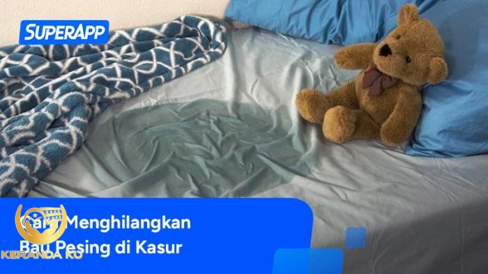 Cara Membersihkan Najis di Kasur Lengkap dan Mudah - ANEKA BUSA TEMANGGUNG