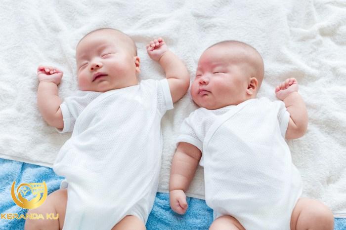 Cara mendapatkan anak kembar menurut islam
