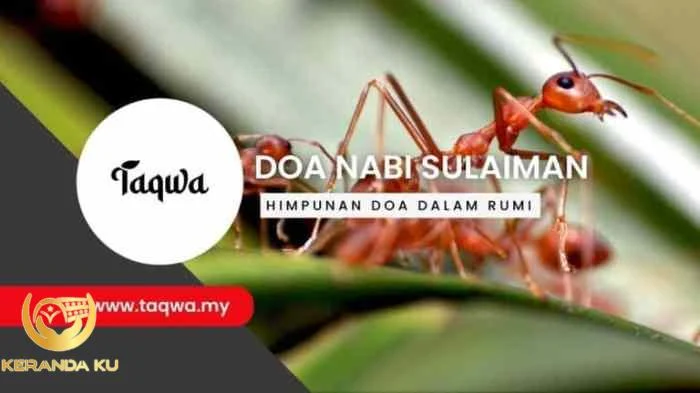 Doa Nabi Sulaiman Untuk Kekayaan Yang Dikabulkan Alla - vrogue.co Doa Nabi Sulaiman Untuk Kekayaan Yang Dikabulkan Alla - vrogue.co