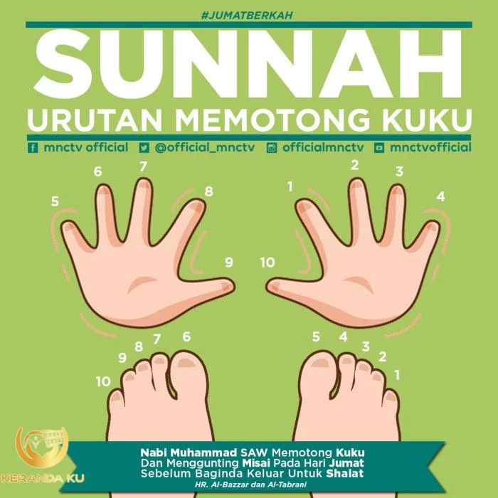 Cara Memotong Kuku dalam Islam Sesuai Sunnah | kumparan.com