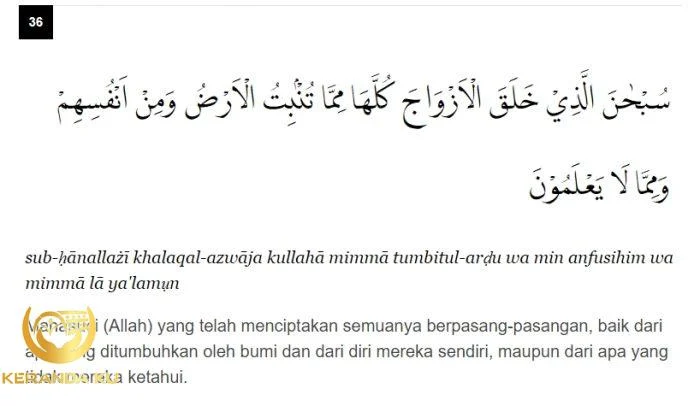 Gambar Surah Yasin Ayat 36 dan Artinya
