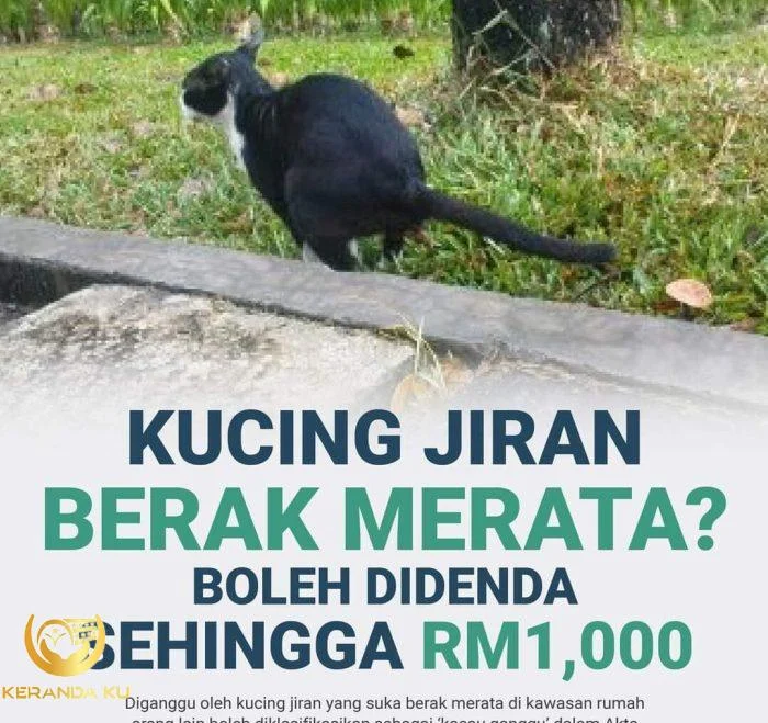 Tips Cara Mudah Bagaimana Nak Ajar Kucing Anda Buang Najis Di Tandas Tips Cara Mudah Bagaimana Nak Ajar Kucing Anda Buang Najis Di Tandas