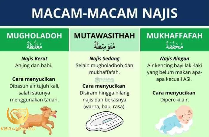 Macam-macam Najis: Pengertian, Contoh, Cara Menyucikan Macam-macam Najis: Pengertian, Contoh, Cara Menyucikan