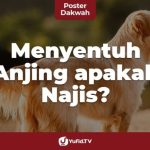 Cara menghilangkan najis anjing