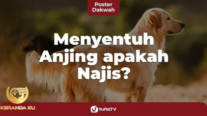Cara Menghilangkan Najis Anjing dan Hukum Memelihara Anjing – Poster ... Cara menghilangkan najis anjing