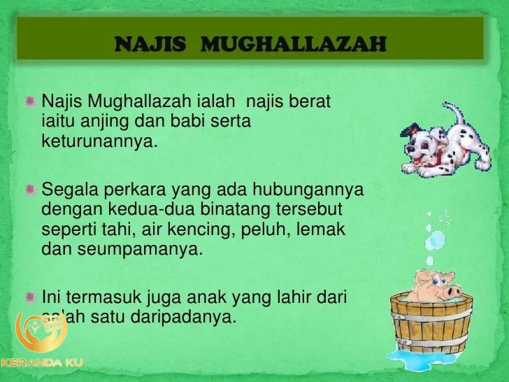 9 Cara Membersihkan Najis, Mulai Dari Bejana Yang Dijilat Anjing ...