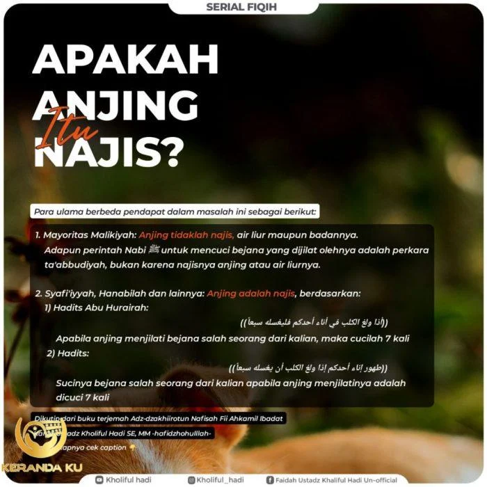 Cara Mensucikan Najis Anjing | Rintik Sedu