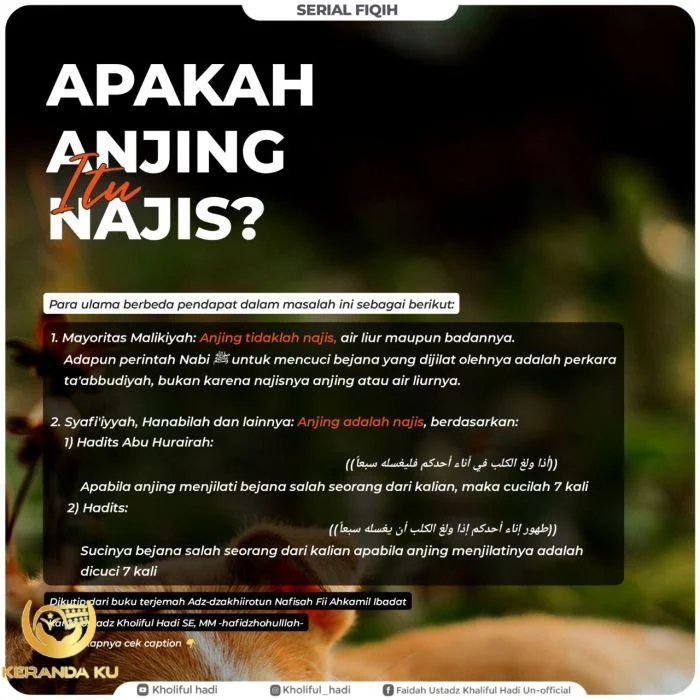 Cara Membersihkan Najis Anjing Menurut Islam | kumparan.com Cara Membersihkan Najis Anjing Menurut Islam | kumparan.com