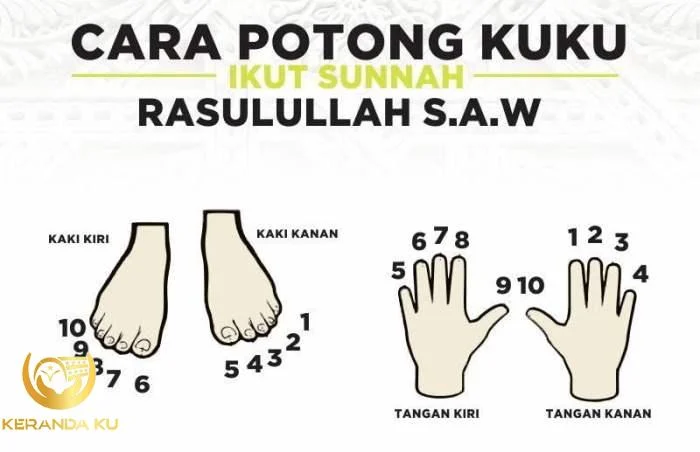 Hukum Potong Kuku, Rambut, dan Cukur Bulu Dalam Islam