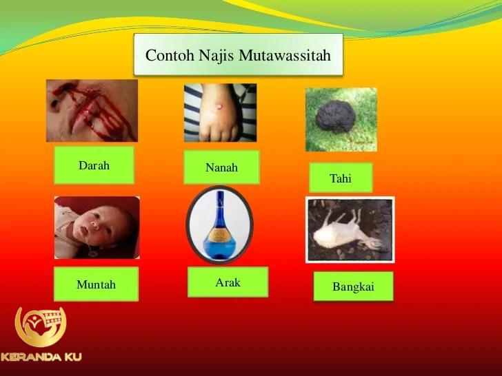 Makalah MacamMacam Najis Dan Cara Mensucikannya Disinau Media Referensi ...